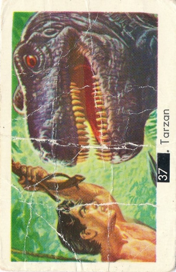 IMG_20211212_0001 - kopia6 - kopia